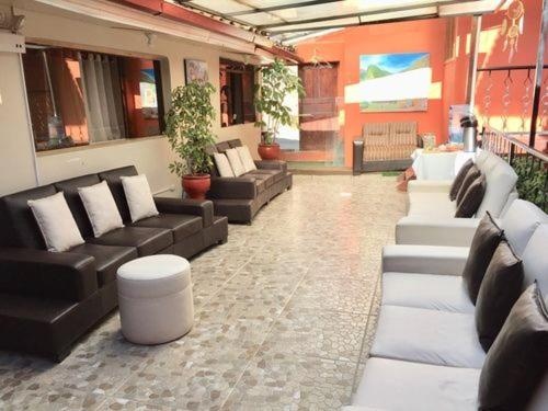 Sol Miranda image 46